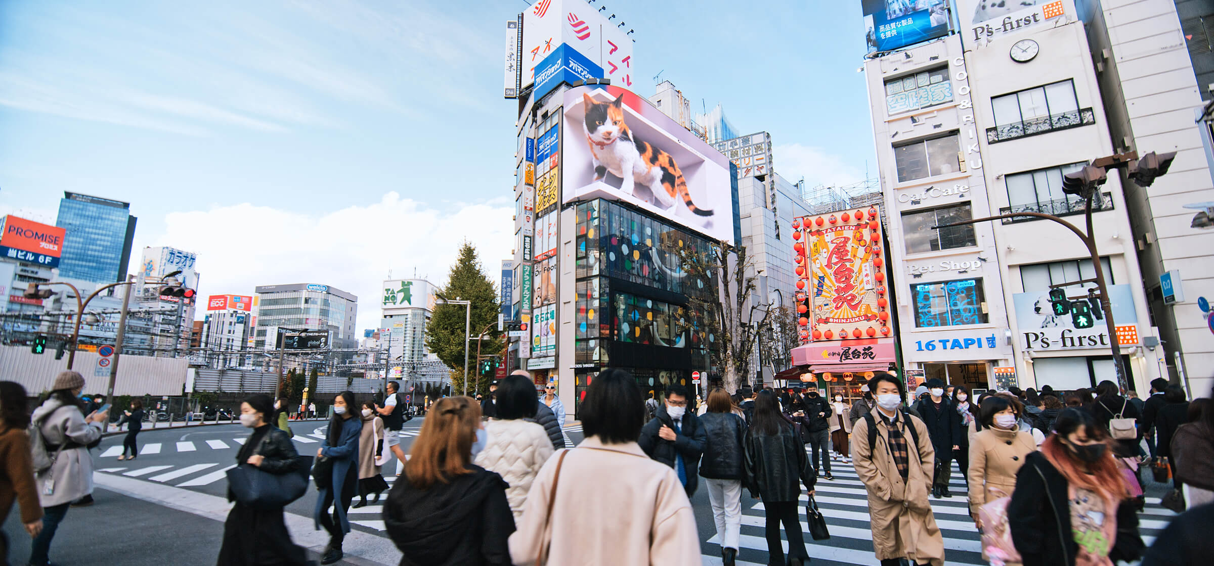 3D Anamorphic Videos