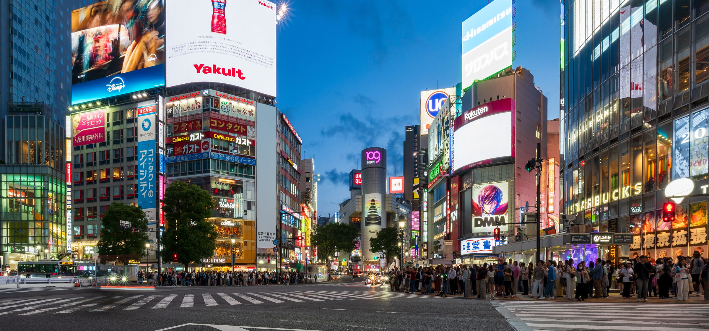 Multi-Format Digital Screen Management